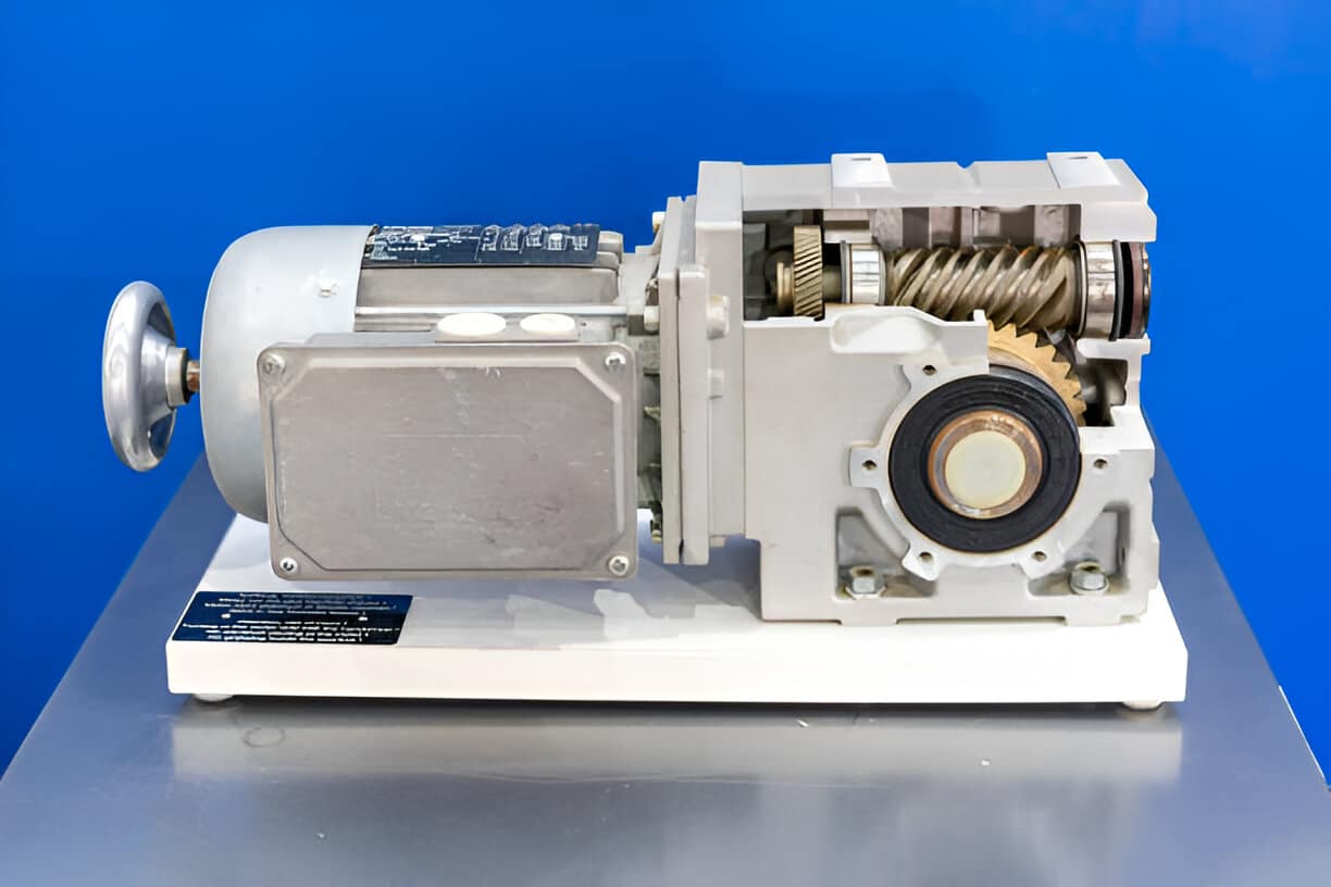 علبة تروس حلزونية مفردة - علبة تروس حلزونية مفردة مقابل علبة تروس حلزونية مزدوجة: ما هو الفرق -TANHON